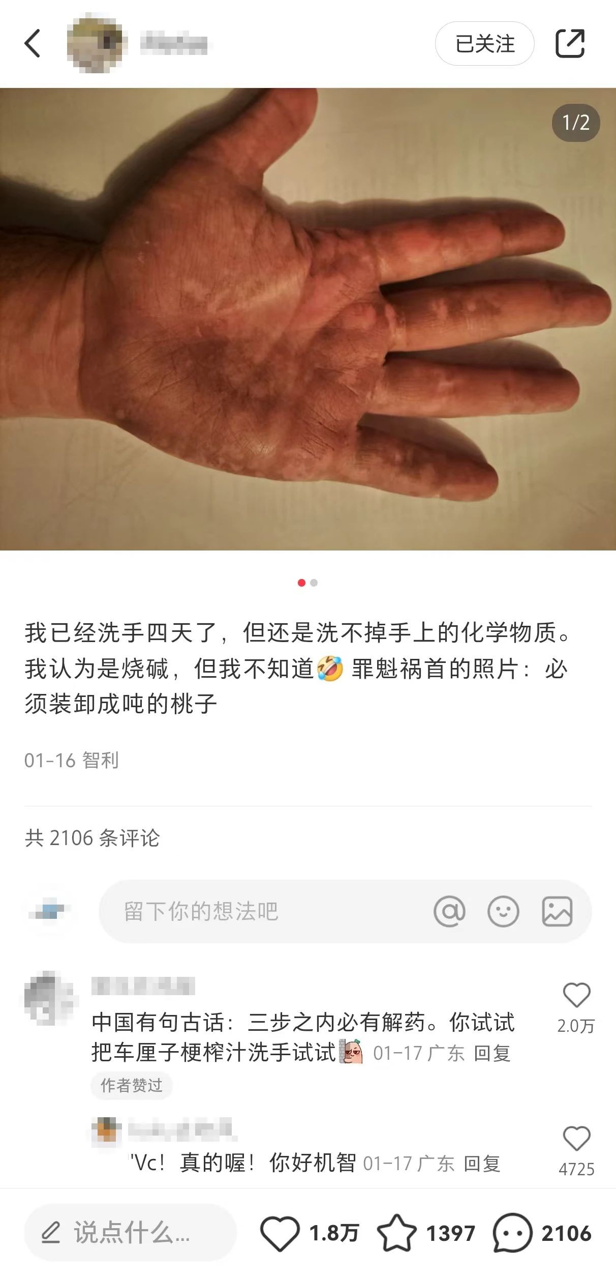 最近的命，小红书给的